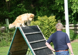 Apport Kletterwand Apport Kletterwand