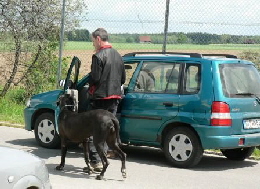 Verkehrsteil 
