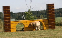 Welpen5