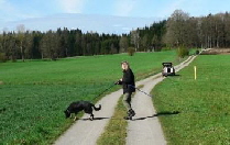 Weg Weg